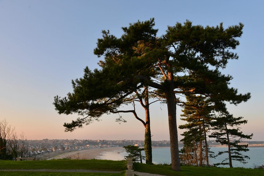 enterprise market intelligence analysis